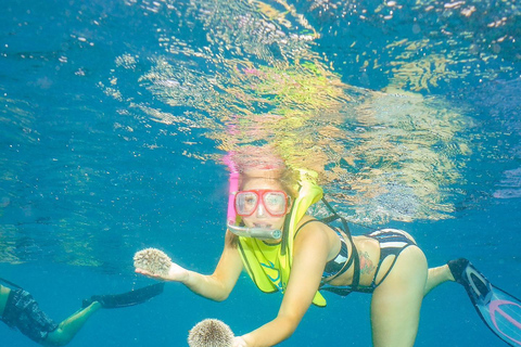 Snorkelen in Montego Bay met vervoerVan Grand Palladium/ Lady Hamilton