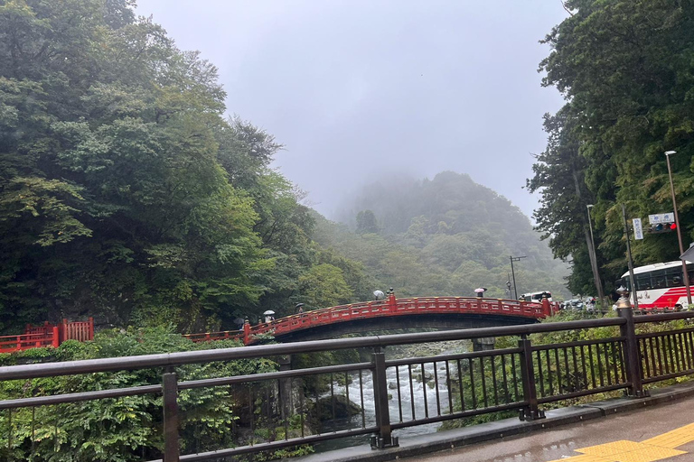 Excursión privada de un día a Nikko con conductor-guía en inglés