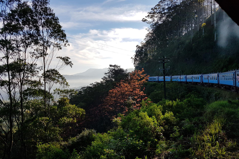 Sri Lanka: 4-tägige Tour Antike Ruinen, Wildtiere, Bergland