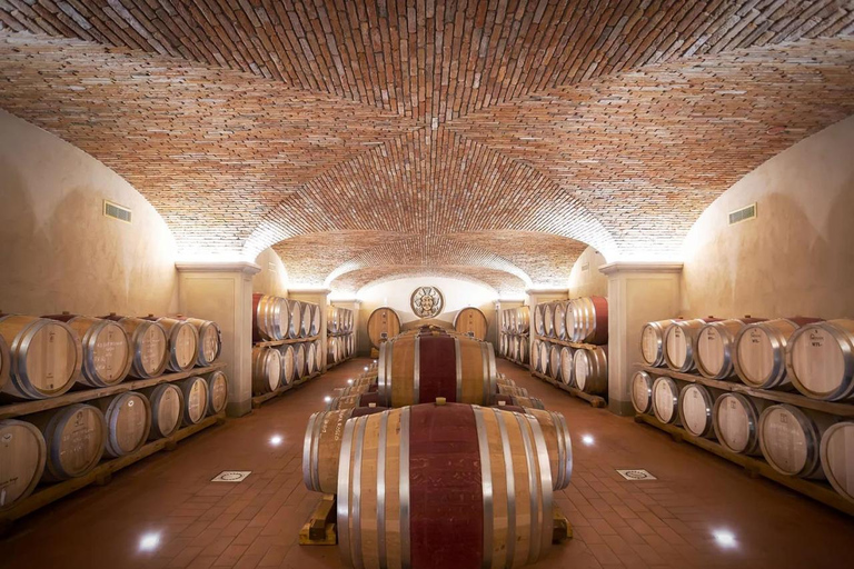 Private Pisa & Lucca Tour from Florence