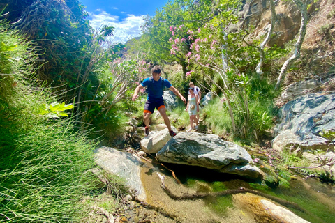Crète : Randonnée guidée aux chutes d'eau de Richtis