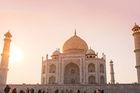 Depuis Agra : Excursion d'une demi-journée au lever du soleil au Taj Mahal et au Fort d'Agra