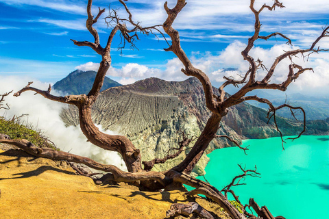 Banyuwangi: Ijen Blue Fire and Bromo Sunrise 2-Day Tour