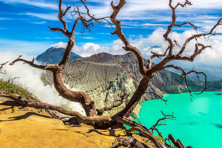 Banyuwangi: Ijen Blue Fire and Bromo Sunrise 2-Day Tour