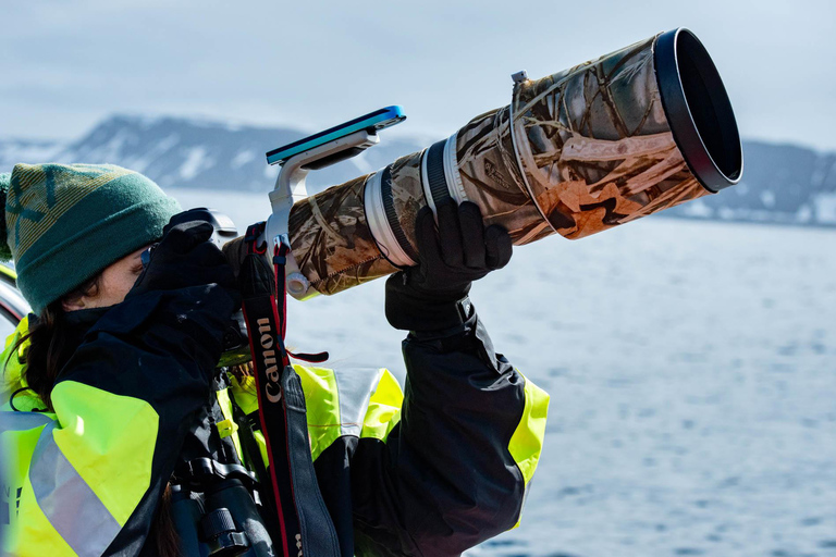Skjervøy : Excursion en bateau chauffé pour l&#039;observation des orques et des baleines