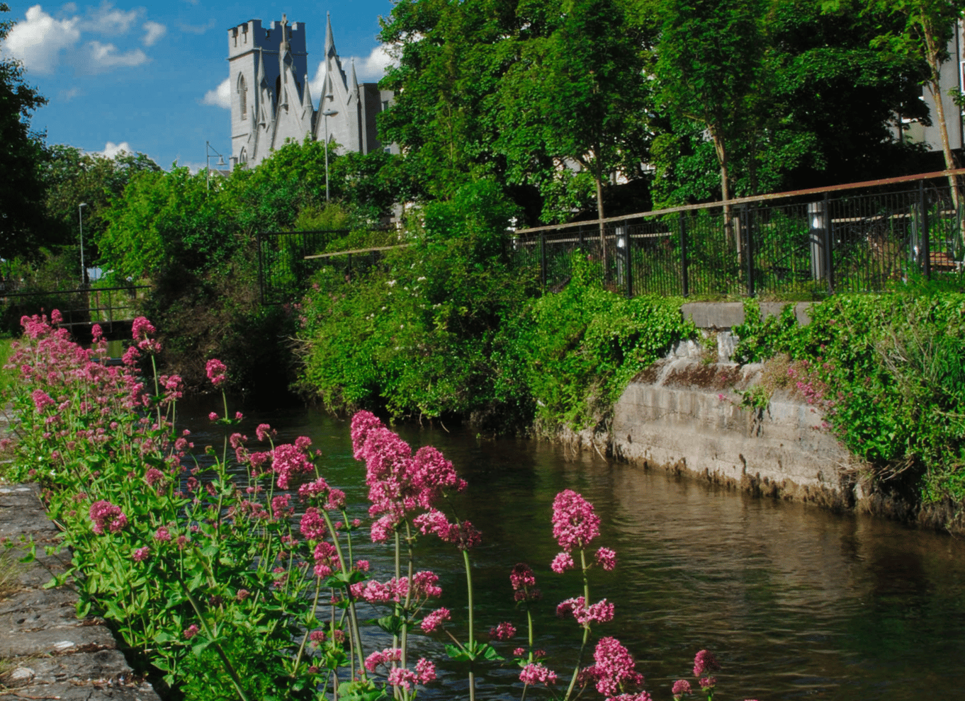 Galway: Velkommen til Galway Walking Tour