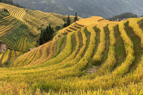 Guilin: Longji Rice Terraces & Minority Villages 2-Day Tour Guilin: Longji Rice Terraces & Minority Villages 2-Day Tour