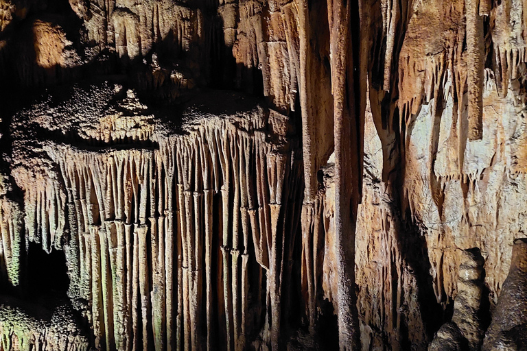 Sofia: Saeva Dupka and Prohodna Cave Half-Day Tour