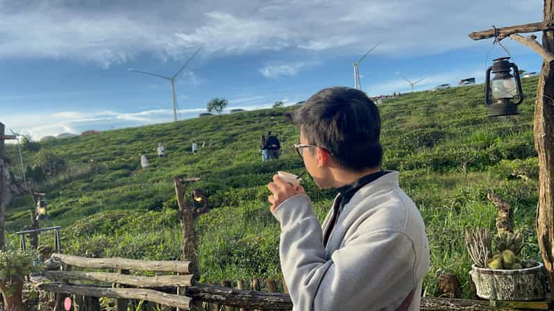 Galería de fotos para redes