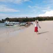 Lombok: Privat Pink Beach and Gili Petelu Snorkeling Trip Lombok: Privat Pink Beach and Gili Petelu Snorkeling Trip