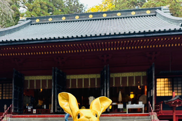 From Tokyo: Nikko World Heritage Private Tour with Guide Nikko World Heritage Full Day share Van tour