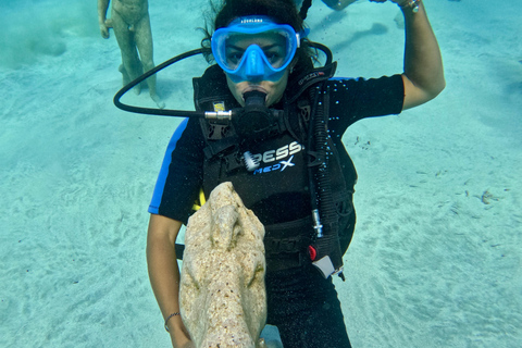 Protaras: Turtle Bay Introduction and Safari Dive Combo