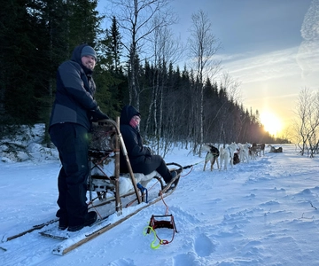 Fauske: Discover the Magic of Husky Sledding in Norway