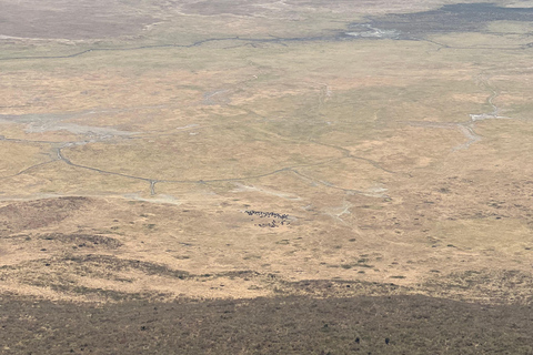 Desde Zanzíbar: safari en avión de 3 días al Serengeti y Ngorongoro