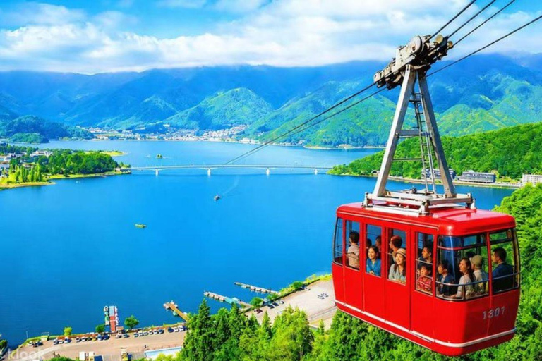 Mt Fuji Private Luxury Full-Day Tour with customization