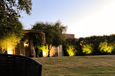 Santiago: Vinicola Monteluz Sunset Party Experience 360