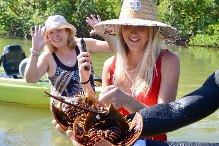 From Naples, FL: Marco Island Mangroves Kayak or Paddle Tour Easy Ride Pedal Kayak Tour
