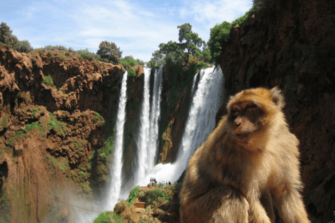 De Marrakech: Cachoeiras de Ouzoud: passeio guiado e de barco