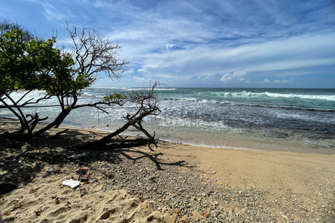 Galle Fort, Sea Turtles & Jungle Beach Private Day Tour