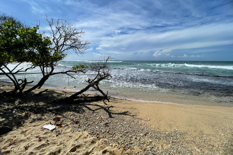 Galle Fort, Sea Turtles & Jungle Beach Private Day Tour