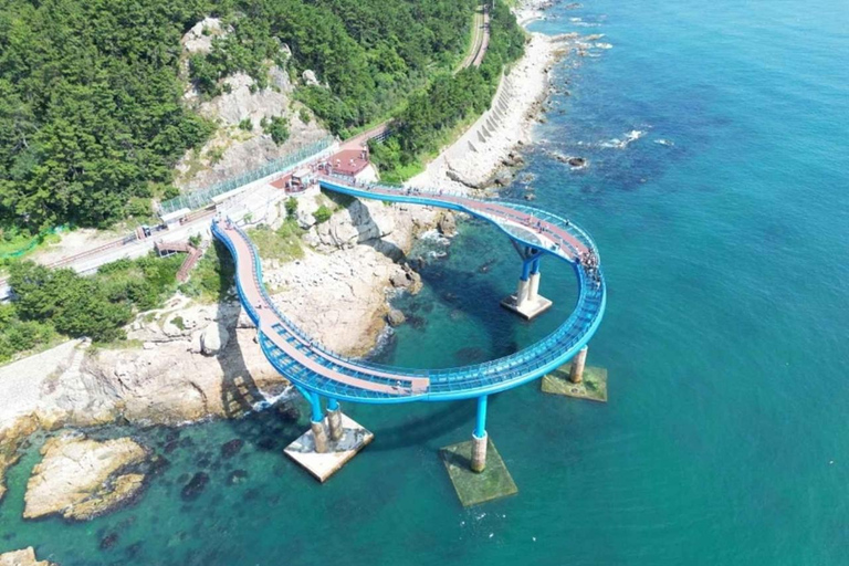 Busan Highlights: Beach Train, Culture Village & Market