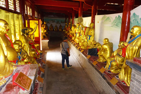Tour privato: Grotte di Longmen, Tempio Shaolin e spettacolo di KungfuPick up da Zhengzhou: Guida in inglese Tour di un giorno tutto incluso