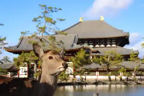 大阪発京都・奈良ガイド付き日帰りツアー