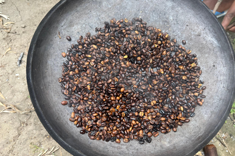 Addis Ababa: 9-Day Coffee Plantation Tour with Lodging