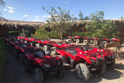 Hurghada: Desert Quad Bike, ATV with BBQ and TransferSunset BBQ: Desert Quad Bike, ATV with BBQ &amp; Transfer
