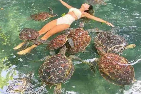 Zanzibar: Simma, snorkla och mata sköldpaddor på Baraka-akvarietHotelltransfer var som helst i Zanzibar