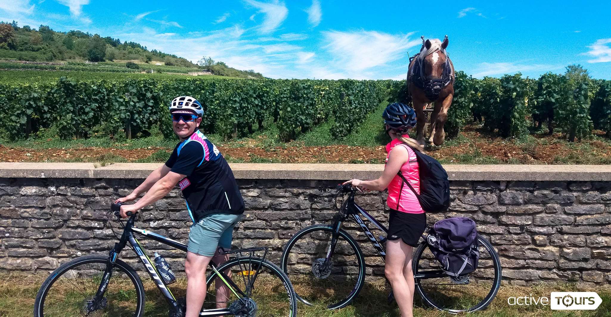 Half Day Bike & wine tour in Burgundy - Housity