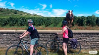 Visite de vélo et de vin d'une demi-journée en Bourgogne - Housity