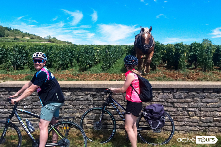 Beaune: Winery Tour by Bike with Wine Tasting