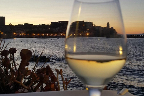 Collioure: Vineyard Tour & Wine Tasting Collioure: Vineyard Tour & Tasting