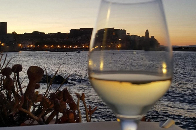 Collioure: Vineyard Tour & Wine Tasting Collioure: Vineyard Tour & Tasting