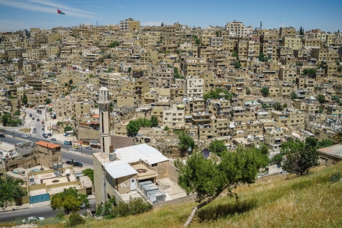 Vom Toten Meer: Amman Stadt und Wüstenschlösser GanztagestourTransport & Eintrittskarten