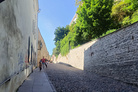 Medieval Tallinn - Carnivals, Punishments, Epidemics