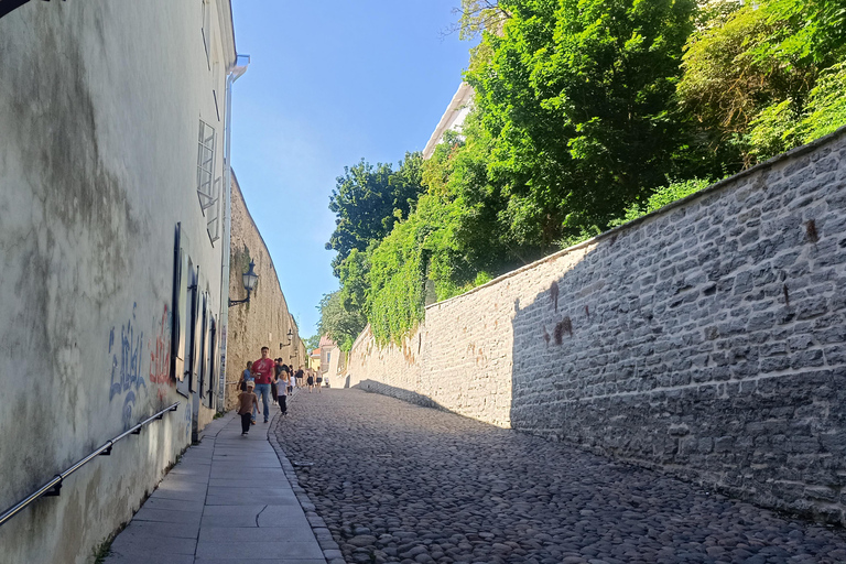 Medieval Tallinn - Carnivals, Punishments, Epidemics