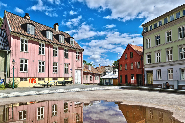 Oslo Through Time - Guided walking tour