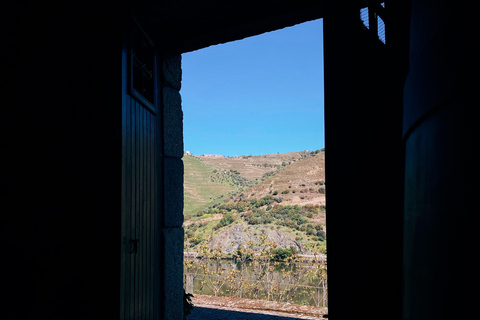 Vale do Douro: TOURS PARTICULARES com degustação de vinhos e almoço