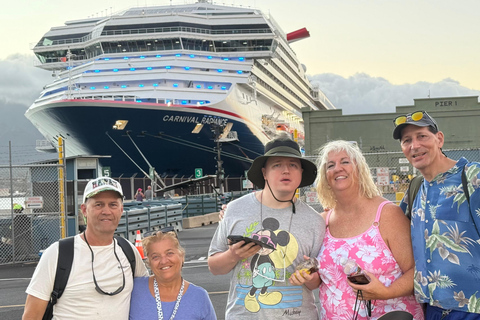 Maui: Full-Day Hana Tour with Snacks and Drinks