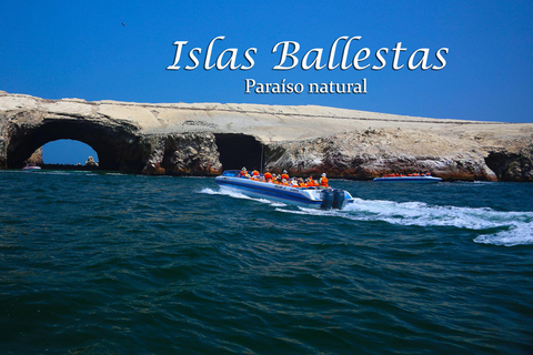 From Lima: Full Day Tour (Paracas + Huacachina)