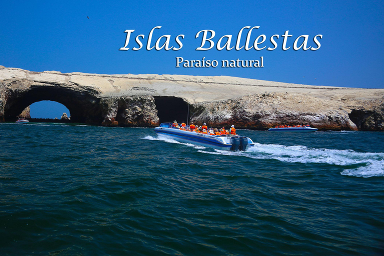 Ab Lima: Ganztagestour (Paracas + Huacachina)