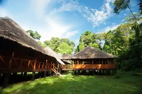 Manu Jungle Tour 5 Days