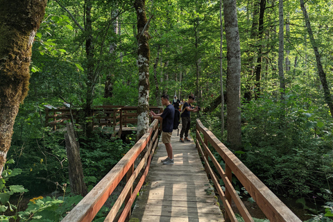National Park Biogradska Gora Private Tour