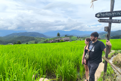Chiang Mai: Pro Private Driver Service with Custom Itinerary