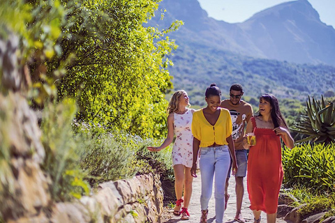 Visita a los Jardines Kirstenbosch, los Pingüinos de Bo-Kaap y la Península del Cabo