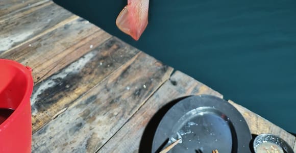Phu Quoc: Squid Fishing Tour with sunset views & dinner