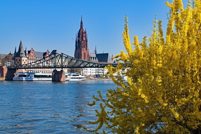 Frankfurt: Guided Walk Tour With Apple Wine Tasting