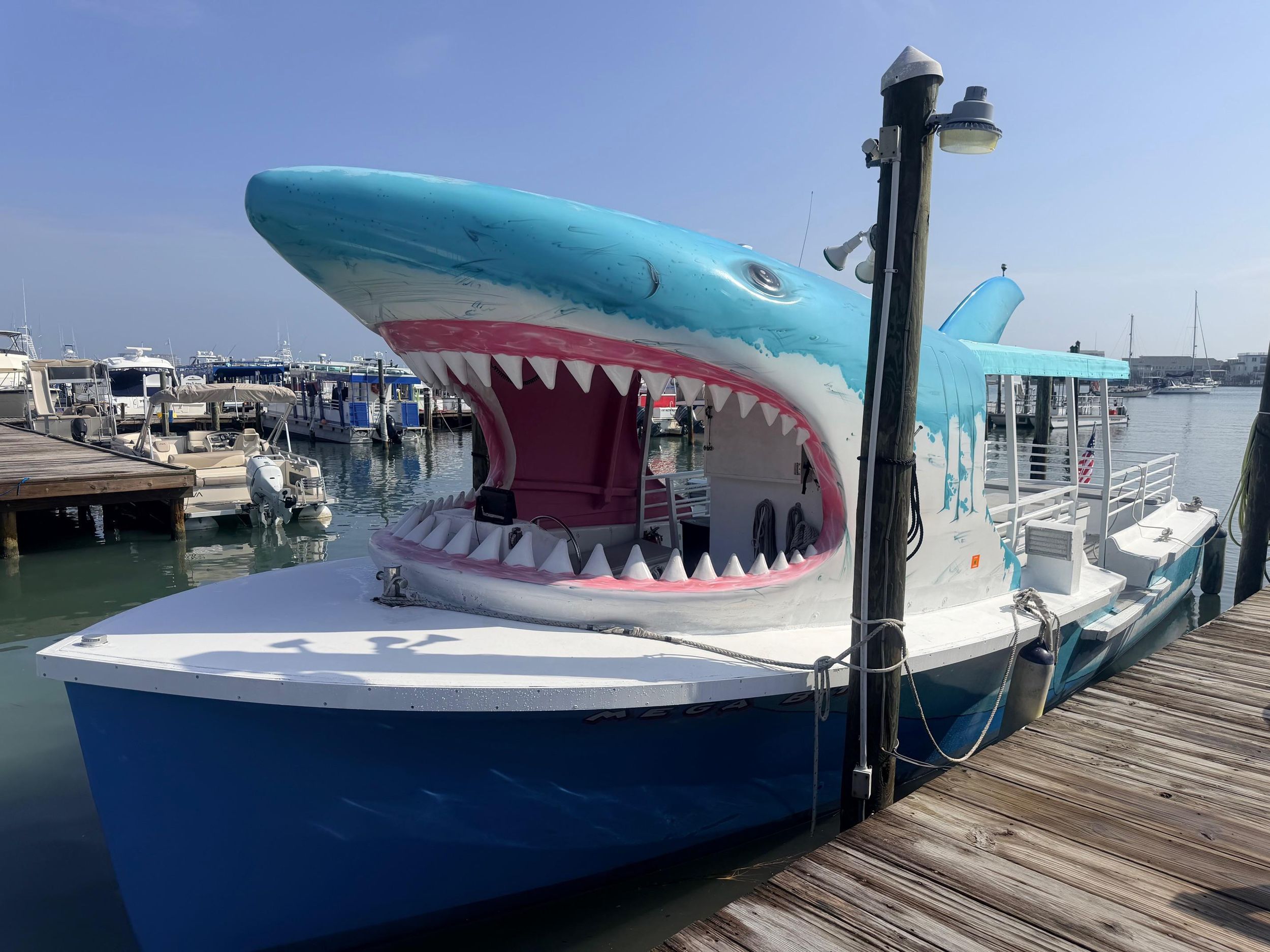 Destin: Delfinbeobachtung und Sonnenuntergangsfahrt auf einem Hai-Boot